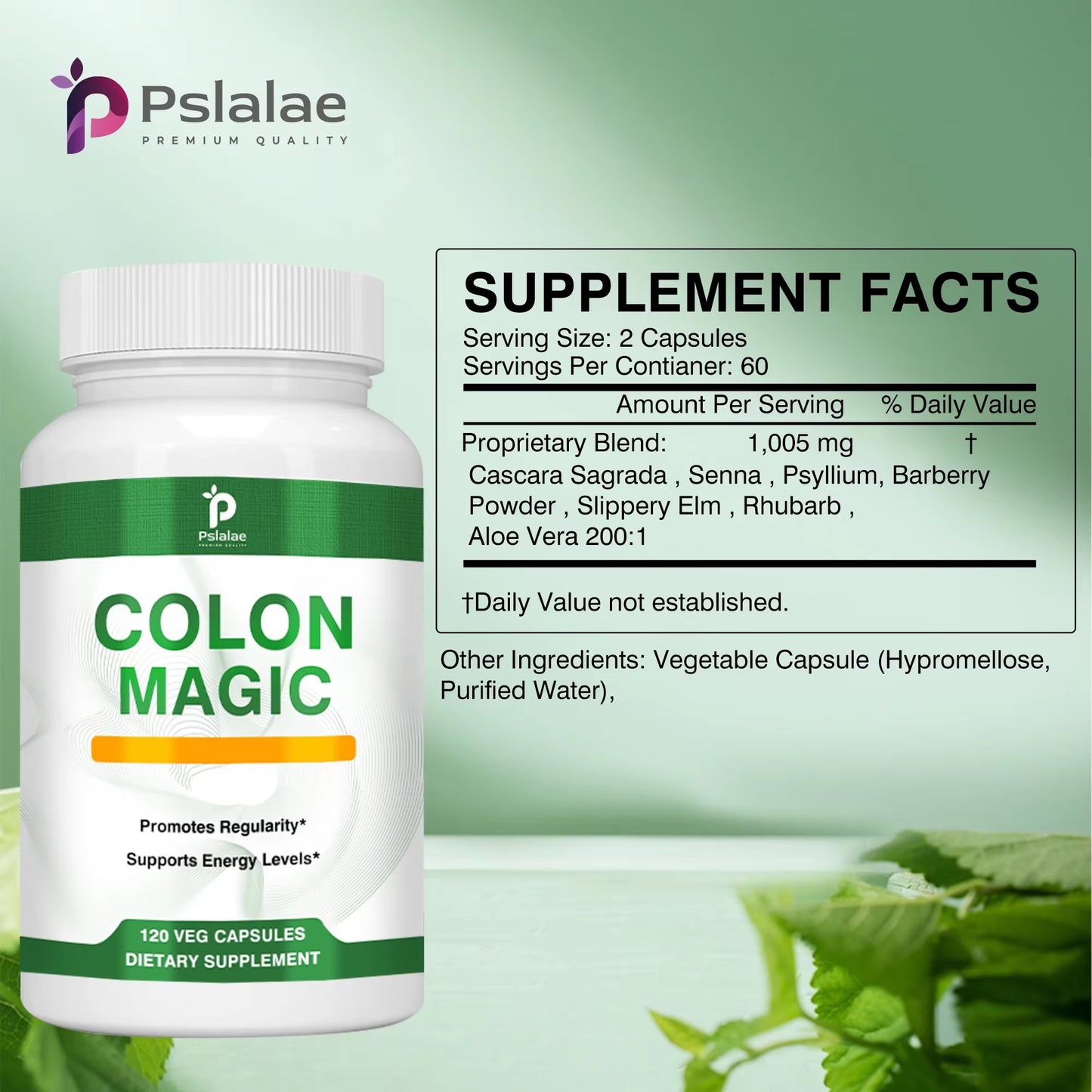 Colon Cleanse Detox - Promotes Intestinal Health, Digestive Health, Relieves Flatulence - with Psyllium Husk - 120 Capsules